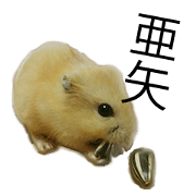 Recommended stickers1 for Aya