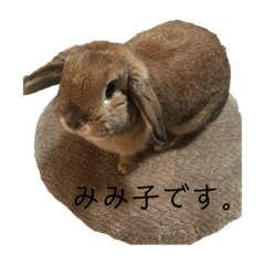 akiko_20210408204734