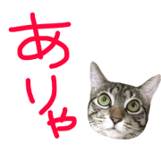 Hi shirasu3 Hi shirasu3