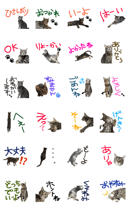 Hi shirasu3 Hi shirasu3