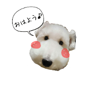 mocomocogutan mocomocogutan