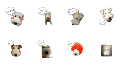 mocomocogutan mocomocogutan