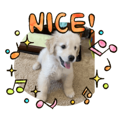 tomomi_20210409031049