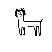 mogeamogea animals mogeamogea animals