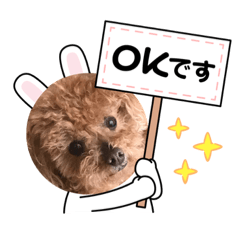 cocoa_20210408194501