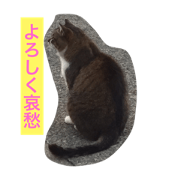 minatomatinomaru sono1 minatomatinomaru sono1