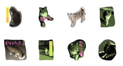 minatomatinomaru sono1 minatomatinomaru sono1