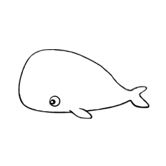 小鯨魚 small whale