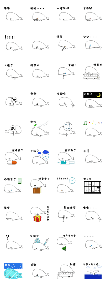 small whale small whale