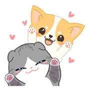 Friendly Fold and Cheerful Chiwawa Friendly Fold and Cheerful Chiwawa