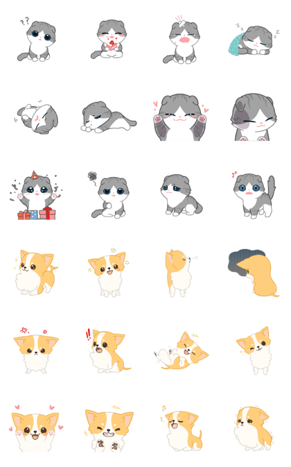 Friendly Fold and Cheerful Chiwawa Friendly Fold and Cheerful Chiwawa