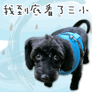 Nana's daily daily Nana's daily daily