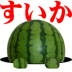 Watermelon photos sticker