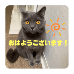 saya_20210408233421