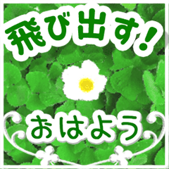 飛び出す 大人やさしい野の花 Line スタンプ Line Store