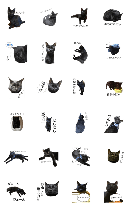 Black CAT Jikkun Black CAT Jikkun