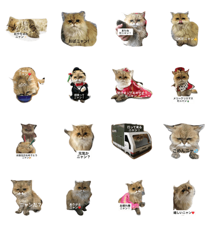 PKO PAUOLEKAMALEI PKO PAUOLEKAMALEI