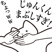 Jun-kun [Send] Cat Sticker