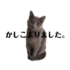 risa_20210409003943