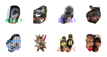 This sticker is our pets.