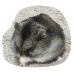 touhuchan