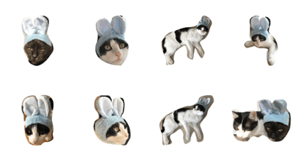 Its funny cats Its funny cats