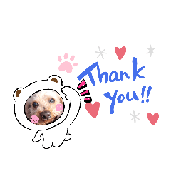 常用語詞。。。