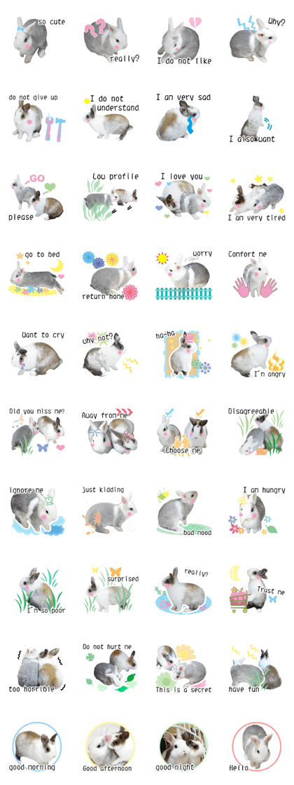 Two cute rabbit rounds