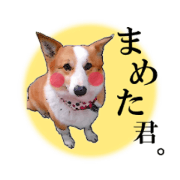 mameta of love mameta of love