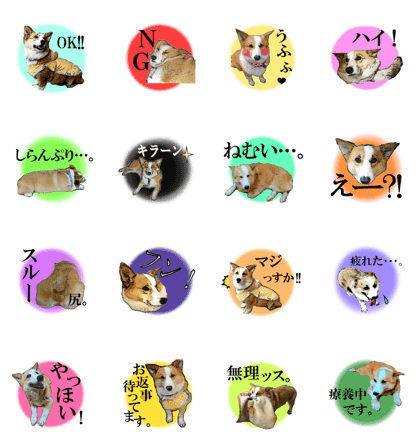 mameta of love mameta of love