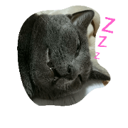 Mrs.MOMOKO Mrs.MOMOKO