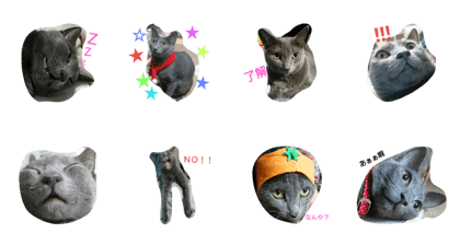 Mrs.MOMOKO Mrs.MOMOKO