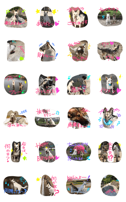 German shepherd Dog 3 German shepherd Dog 3