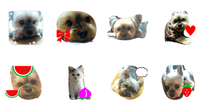 kato mickey kato mickey