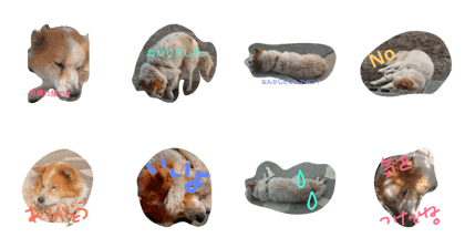 sakulovedog sakulovedog