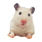 hamsterkazoku hamsterkazoku