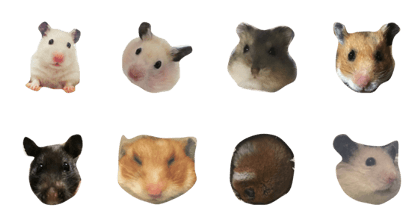 hamsterkazoku hamsterkazoku