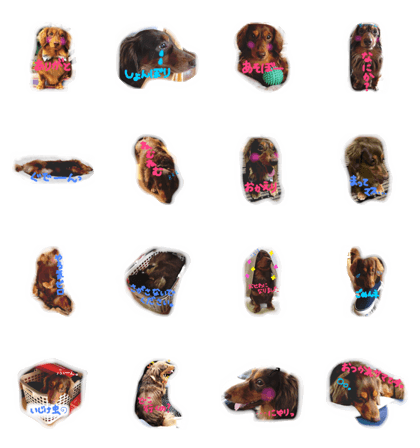 sasuke dayo! sasuke dayo!