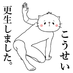 Cat Sticker Kousei & Kosei & Kohsei