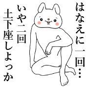 Bunny Sticker Hanae Bunny Sticker Hanae