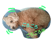 CHOCO DAWAN CHOCO DAWAN