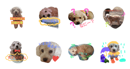 CHOCO DAWAN CHOCO DAWAN