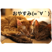 nekonekoshoten nekonekoshoten