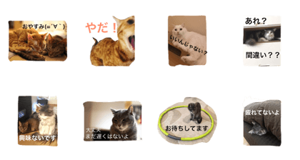 nekonekoshoten nekonekoshoten