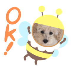Macaron_20210409151255