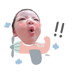 烤雞便當