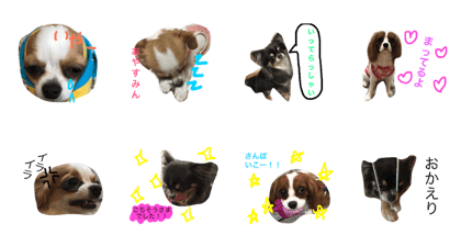 wankotati no nitizyo wankotati no nitizyo