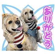 Mimosa'swans Sticker Mimosa'swans Sticker