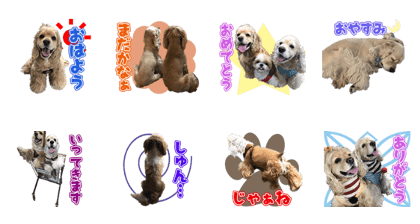 Mimosa'swans Sticker Mimosa'swans Sticker