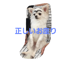eryunpu